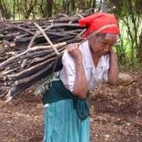 Das Camp wird ausgebaut