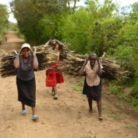 Das Camp wird ausgebaut