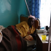 Die Einweihung des Brunnen