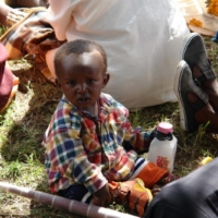 Die Einweihung des Brunnen