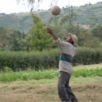 Gartenpflege und Sport