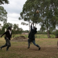 Gartenpflege und Sport