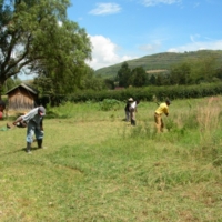Gartenpflege und Sport
