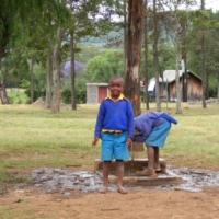 Gartenpflege und Sport