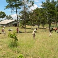Gartenpflege und Sport