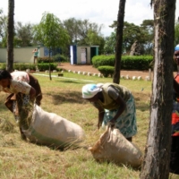 Gartenpflege und Sport