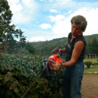 Gartenpflege und Sport