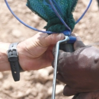 Mama Matata hilft in fremdem Camp