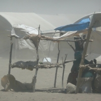 Mama Matata hilft in fremdem Camp