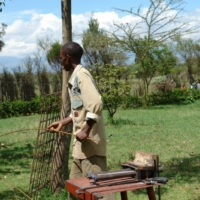 Nahrungsmittel für alle