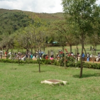 Nahrungsmittel für alle