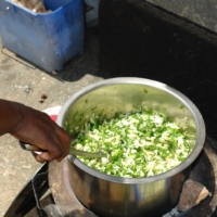 Nahrungsmittel für alle