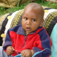 Nahrungsmittel für alle