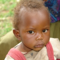 Nahrungsmittel für alle