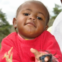 Nahrungsmittel für alle