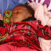 Nahrungsmittel für alle