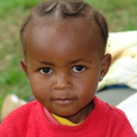 Nahrungsmittel für alle