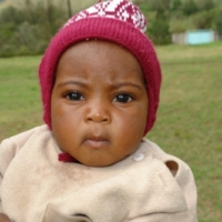 Nahrungsmittel für alle