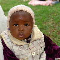 Nahrungsmittel für alle