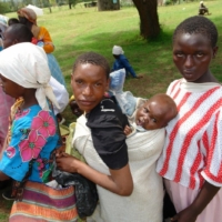 Nahrungsmittel für alle